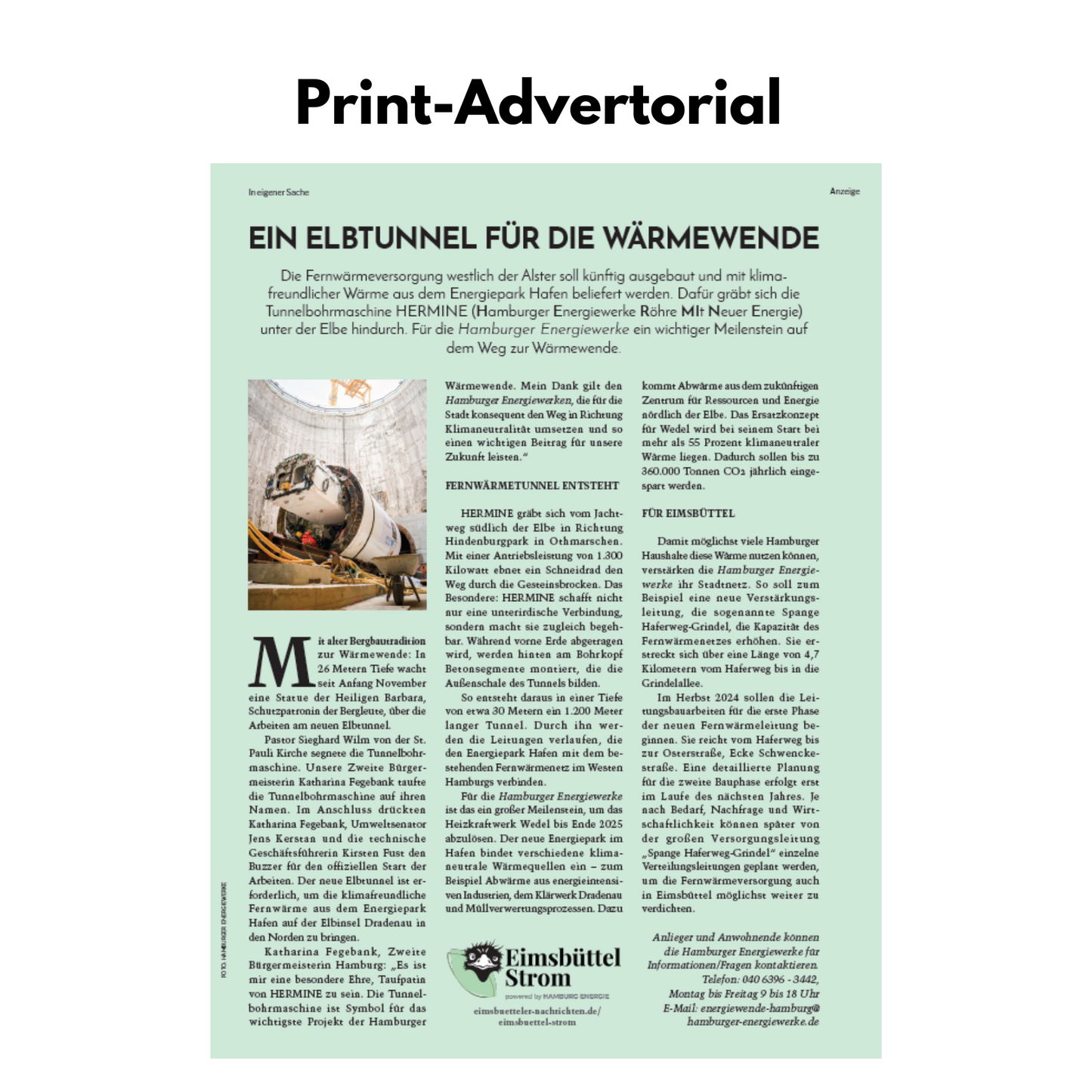 Print-Online-Advertorial